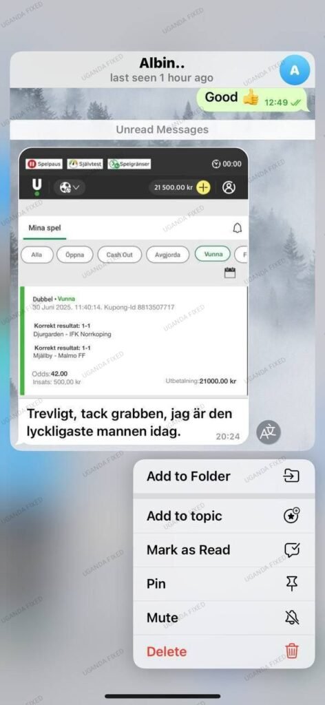 Japan J1 League fixed matches, china fixed matches, london fixed games